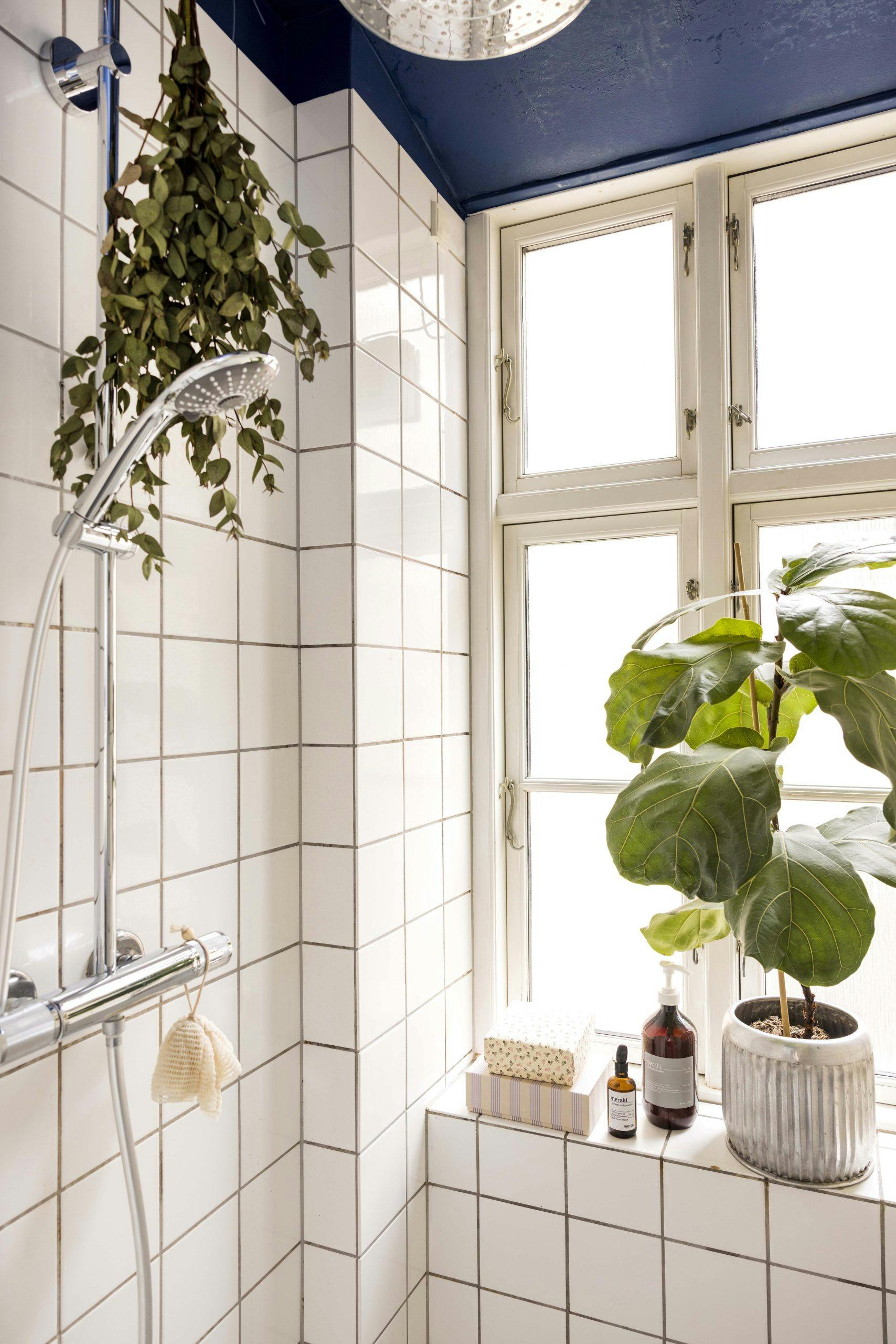MariaVesterbro231021 Blått tak på badet